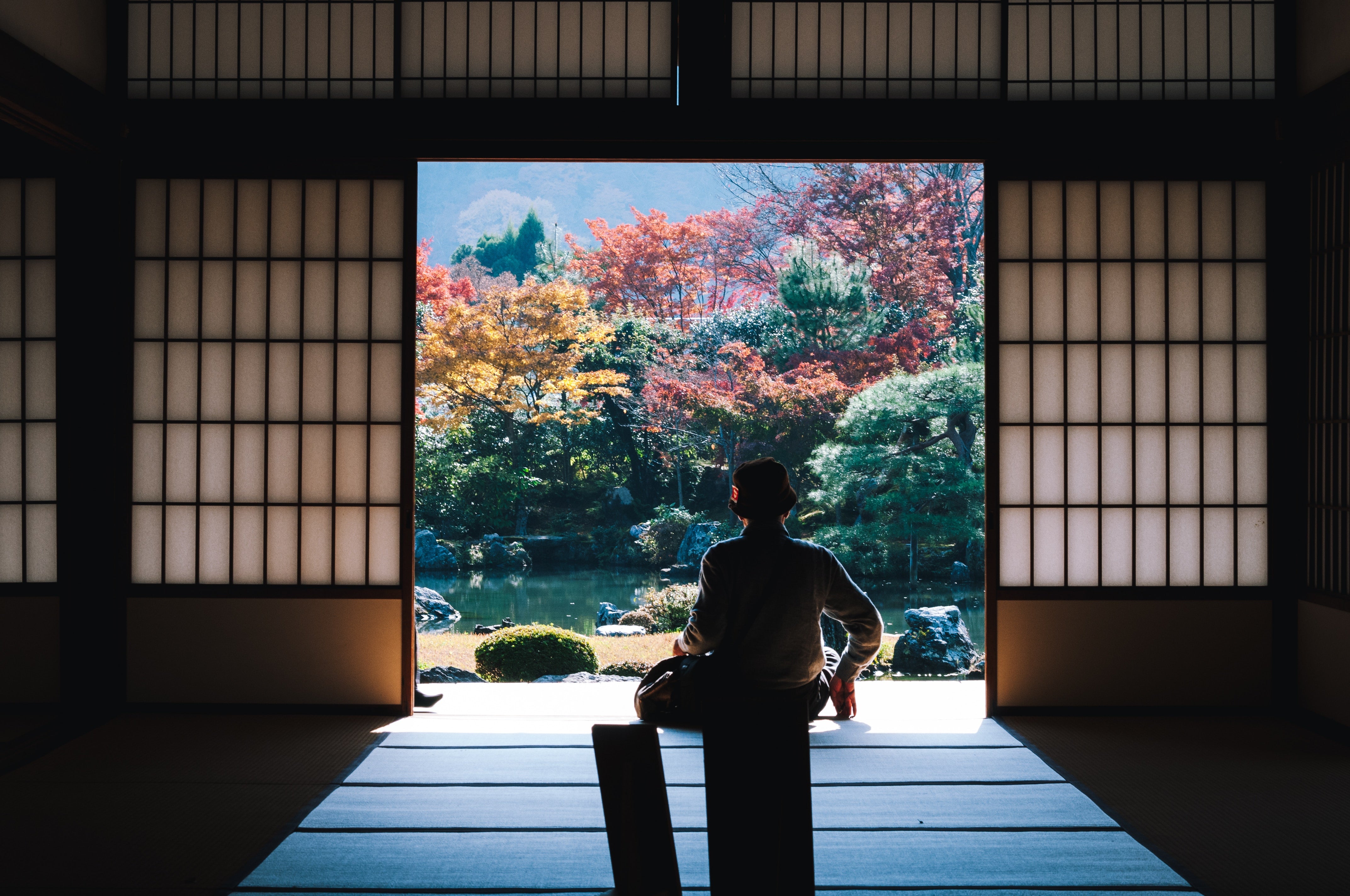 picture of person sat looking out to a blossoming japanese garden from within the traditional house