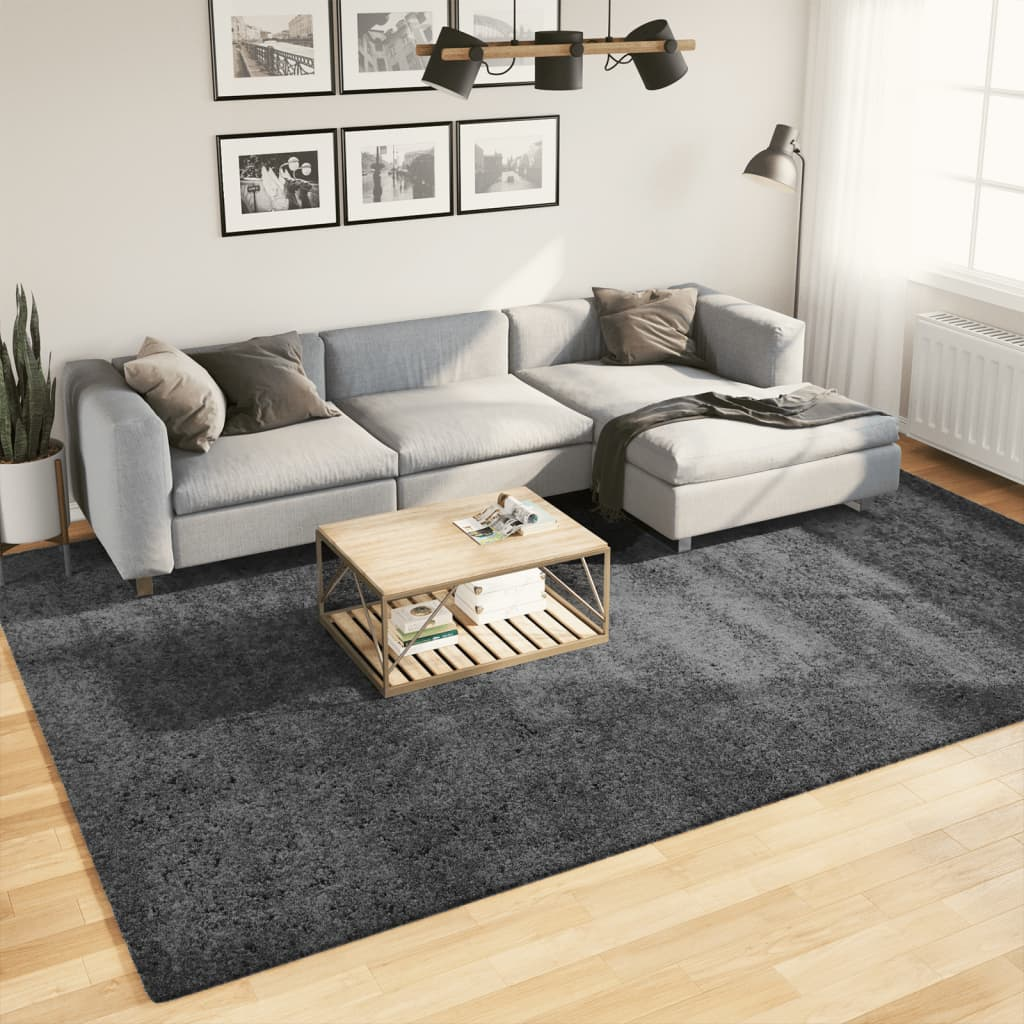 vidaXL Rug OVIEDO Short Pile Anthracite 240x340 cm - Soft, Durable, and Stylish - Sudd