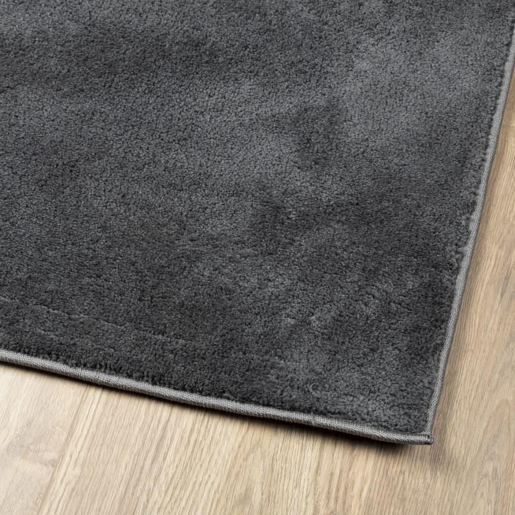 vidaXL Rug OVIEDO Short Pile Anthracite 240x340 cm - Soft, Durable, and Stylish - Sudd