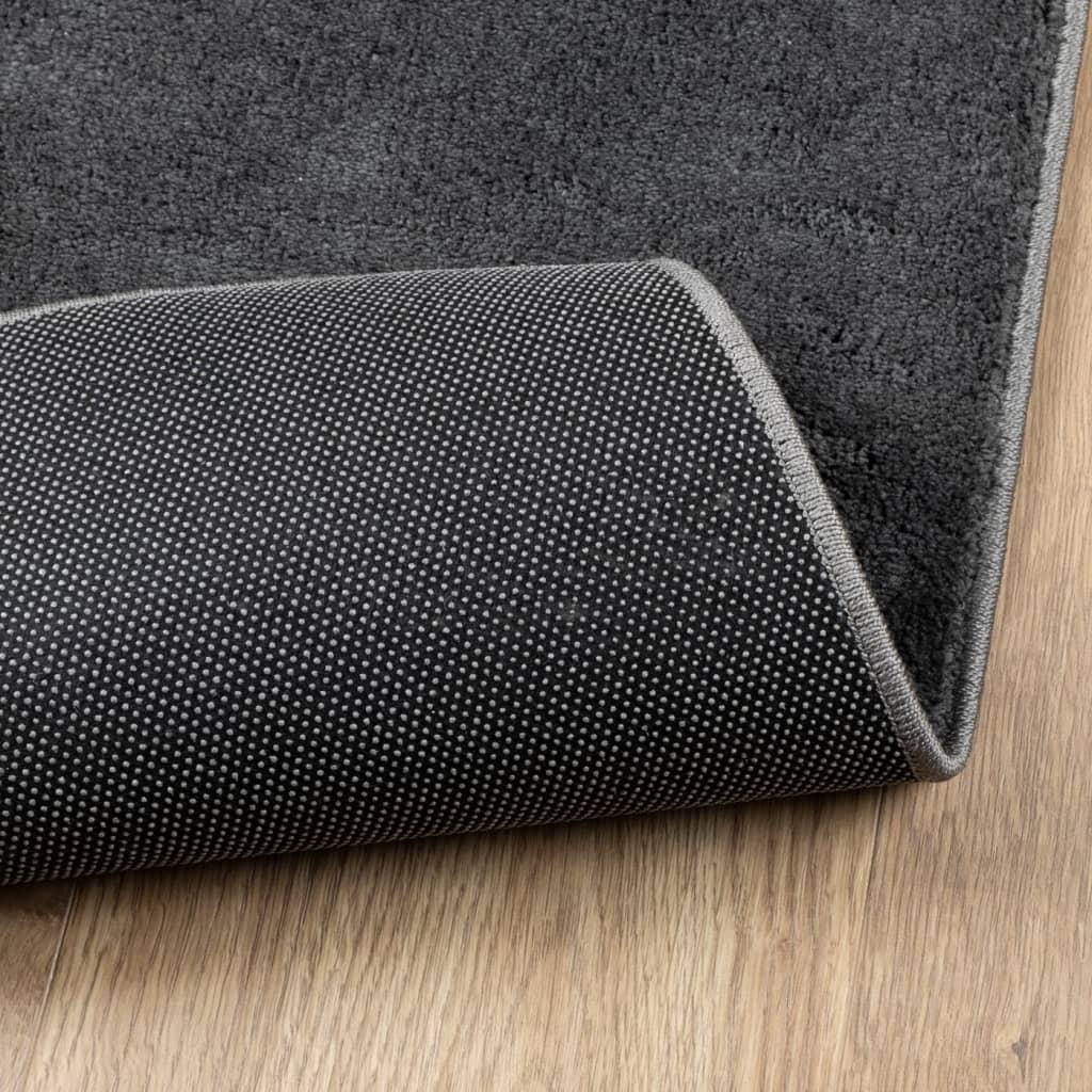 vidaXL Rug OVIEDO Short Pile Anthracite 240x340 cm - Soft, Durable, and Stylish - Sudd